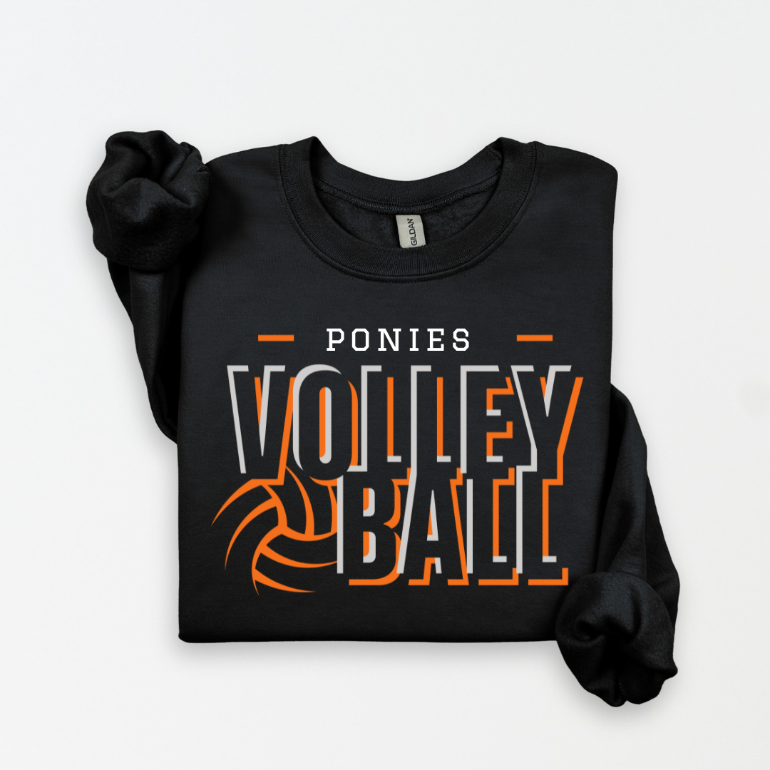 ponies volleyball (2 colors)