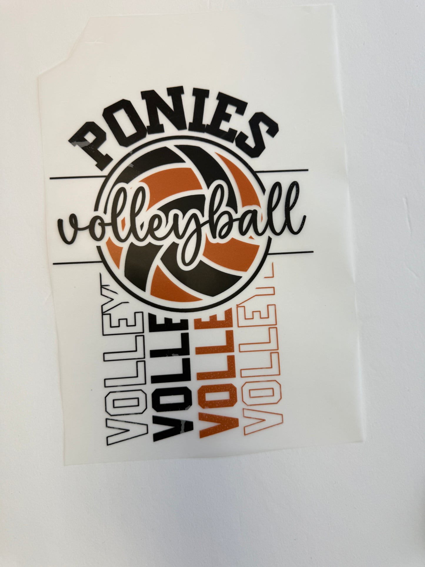 ponies volleyball vertical