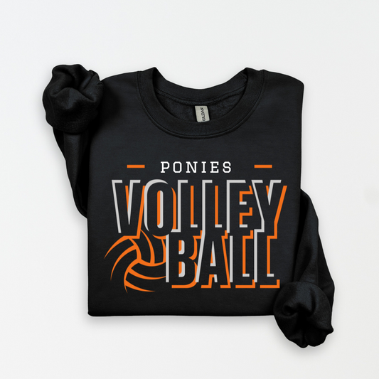 ponies volleyball (2 colors)